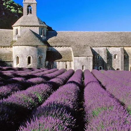 빌라 In Provence With Infinity Pool *